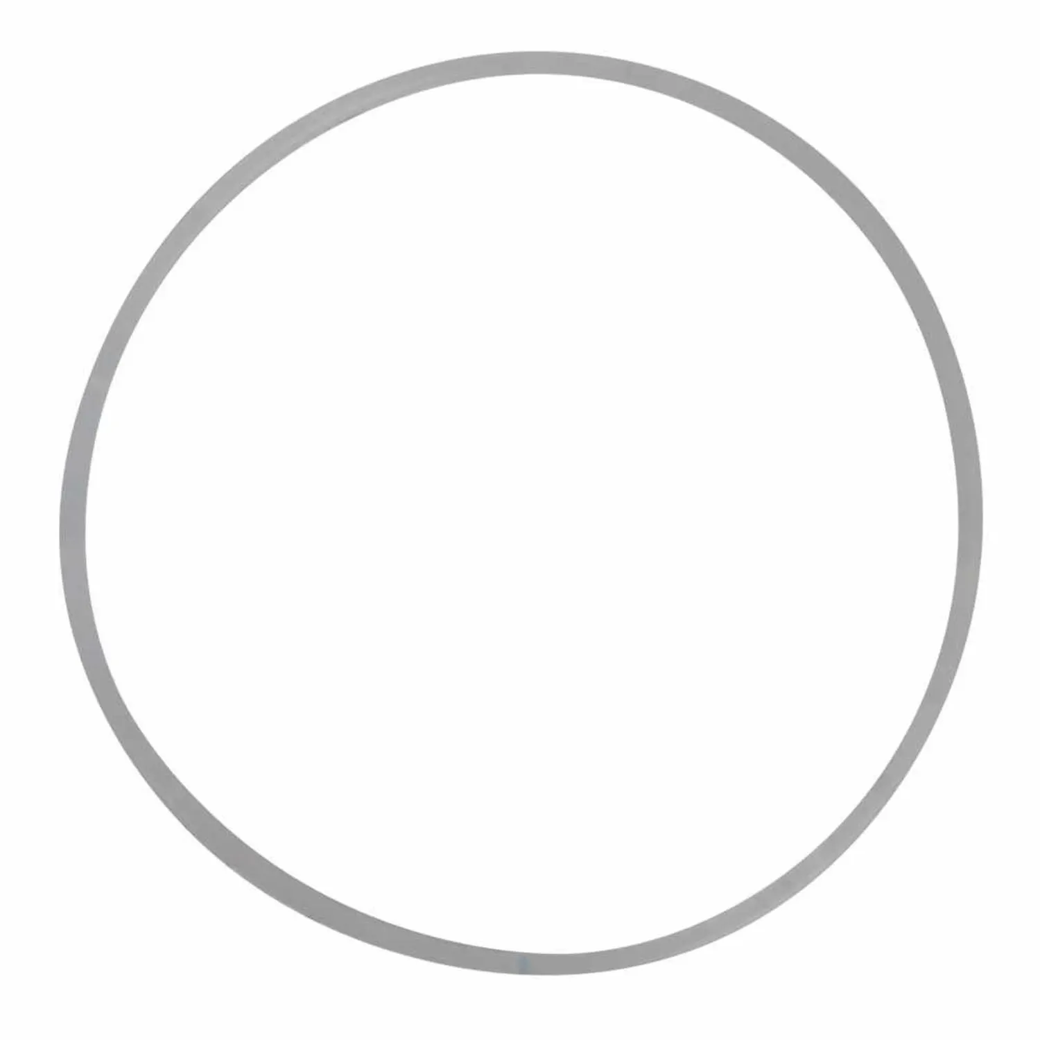 Junta tórica del cuerpo de bomba de los modelos FIX05E, FIX10E, FIX15E, FIX15E/3230
